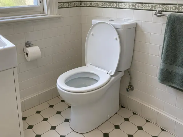 Clean white toilet in a tiled bathroom with a window and wall towel rail in Botany